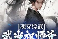 魂穿综武：武当祖师爷出山了最新章节，魂穿综武：武当祖师爷出山了免费阅读-读书翁