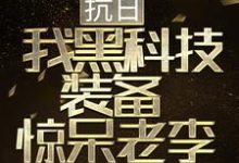 抗日：我黑科技装备惊呆老李小说，抗日：我黑科技装备惊呆老李章节在线阅读-读书翁