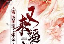 完结版《毒医萌宝：娘亲，父皇又来逼婚了》免费阅读-读书翁