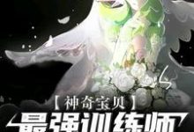 完结版《神奇宝贝：最强训练师之路》章节阅读-读书翁