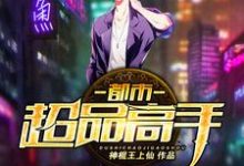 完结版《都市超品高手》在线免费阅读-读书翁