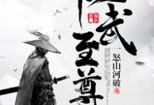 《仙武至尊》小说主角叶琅天洪伯叶玄章节章节免费在线阅读-读书翁