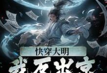 快穿大明：我反出京师对抗皇帝小说完结版章节免费阅读-读书翁