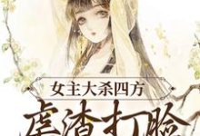 完结版《女主大杀四方，虐渣打脸不停歇！》免费阅读-读书翁