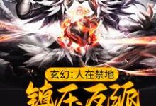 完结版《玄幻：人在禁地，镇压反派的我无敌了》在线免费阅读-读书翁