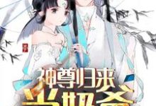 完结版《神尊归来当奶爸》在线免费阅读-读书翁