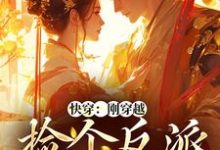 完结版《快穿：刚穿越，捡个反派当老公》在线免费阅读-读书翁