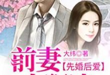 完结版《先婚后爱，前妻太狠决》在线免费阅读-读书翁