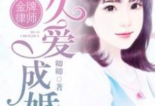 《金牌律师：久爱成婚》全集免费在线阅读（战洪昕柳宜佳吴硕伟）-读书翁