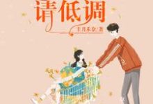 完结版《甜宠暖婚：总裁宠妻请低调》章节目录在线阅读-读书翁