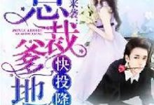 完结版《萌宝来袭：总裁爹地快投降》章节阅读-读书翁