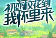 完结版《重生八零：初恋校花到我怀里来》章节目录在线阅读-读书翁