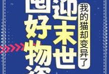 主角江芷小说囤好物资迎末世，我的猫却变异了免费阅读-读书翁