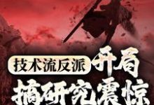 完结版《技术流反派：开局搞研究震惊万界主角》免费阅读-读书翁