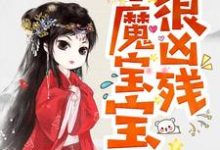 《半魔宝宝很凶残》小说大结局免费试读 凌雪琪无夜小说-读书翁