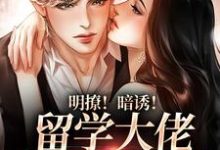 完结版《明撩！暗诱！留学大佬他不怀好意》章节目录在线阅读-读书翁