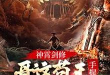 完结版《神霄剑修：哥这苟王手握七剑成最强》在线免费阅读-读书翁