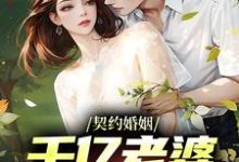 小说《契约婚姻：千亿老婆太撩人》在线章节阅读-读书翁