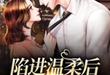 完结版《陷进温柔后，他宠上瘾了》免费阅读-读书翁