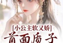 完结版《小公主软又娇，首面质子把持不住》章节阅读-读书翁