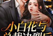 《小白花与总裁决裂后，他后悔疯了》全集免费在线阅读（沈宜周从谨）-读书翁