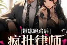 完结版《带崽跑路后，疯批律师急哭了》免费阅读-读书翁