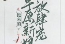 完结版《抢来的草原新娘放肆宠》免费阅读-读书翁