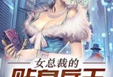 女总裁的贴身兵王章节免费在线阅读， 慕宇夏晴完结版-读书翁