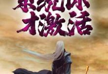 完结版《我都大乘了，系统你才激活？》在线免费阅读-读书翁