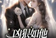 完结版《凶狠如他，却对我柔情》章节目录在线阅读-读书翁