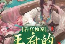 小说《后宫独宠：王府的绝色奶娘》在线章节阅读-读书翁