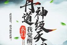 玄幻：我觉醒了丹道神级天赋小说全文阅读需要付费吗？寻找免费资源-读书翁