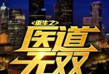 叶枫为主角的小说叫什么？免费看重生之医道无双-读书翁