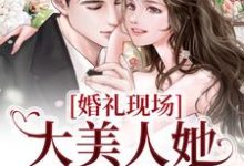 小说《婚礼现场，大美人她喜提绿帽》在线章节阅读-读书翁