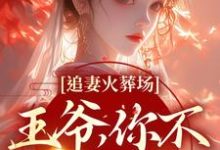 完结版《追妻火葬场：王爷，你不该囚禁她》在线免费阅读-读书翁