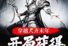 完结版《穿越大齐末年，开局获得劈柴技能》免费阅读-读书翁