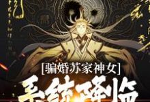 完结版《骗婚苏家神女，系统降临上古神瞳》在线免费阅读-读书翁