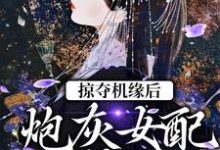 掠夺机缘后，炮灰女配上位了小说完结版章节免费阅读-读书翁