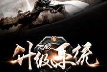 无敌升级系统章节免费在线阅读，华青峰雷风天佑完结版-读书翁