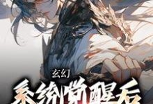 《玄幻：系统觉醒后我背景无敌》小说章节列表免费试读，叶长安叶欣然小说在线阅读-读书翁