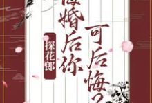 《探花郎，悔婚后你可后悔？》全集免费在线阅读（柳文茵谢安）-读书翁