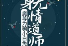 主人公叫楚微凉君拂衣的小说哪里免费看-读书翁