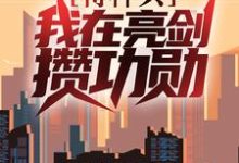 完结版《特种兵：我在亮剑攒功勋》章节目录在线阅读-读书翁