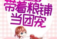 完结版《胎穿五零：带着粮铺当团宠》章节阅读-读书翁