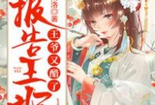 完结版《报告王妃，王爷又醋了》章节阅读-读书翁