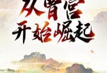 三国：从曹营开始崛起这本小说在哪里可以看？哪里有免费试读章节？-读书翁