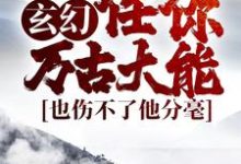 完结版《玄幻：任你万古大能，也伤不了他分毫》在线免费阅读-读书翁