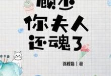 《顾少，你夫人还魂了》全集免费在线阅读（苏暖宁顾笙泽）-读书翁