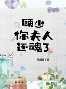 《顾少，你夫人还魂了》全集免费在线阅读（苏暖宁顾笙泽）