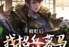 完结版《被贬后，我招兵募马八十万》免费阅读-读书翁